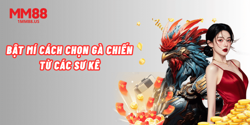 bat-mi-cach-chon-ga-chien-tu-cac-su-ke