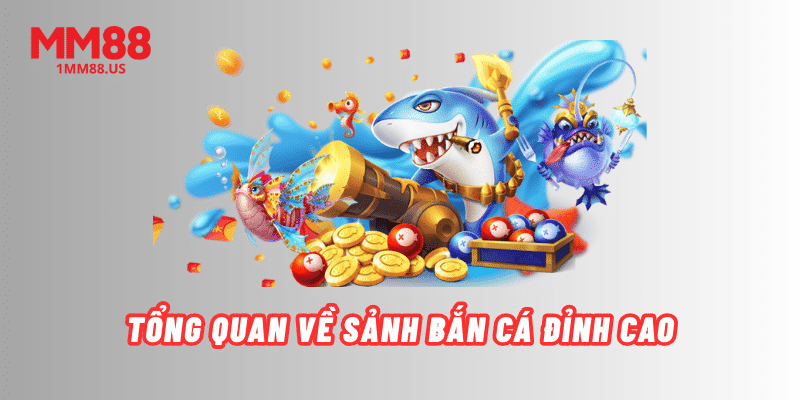 tong-quan-ve-sanh-ban-ca-dinh-cao