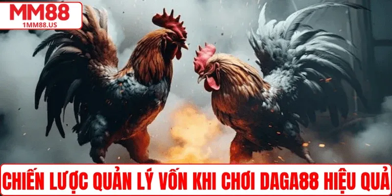 Chiến lược quản lý vốn khi chơi Daga88 hiệu quả