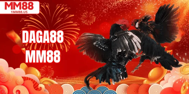 Daga88 MM88 – Trải Nghiệm Đá Gà Chất Lượng Cao 2026