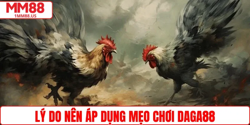 Lý do nên áp dụng mẹo chơi Daga88